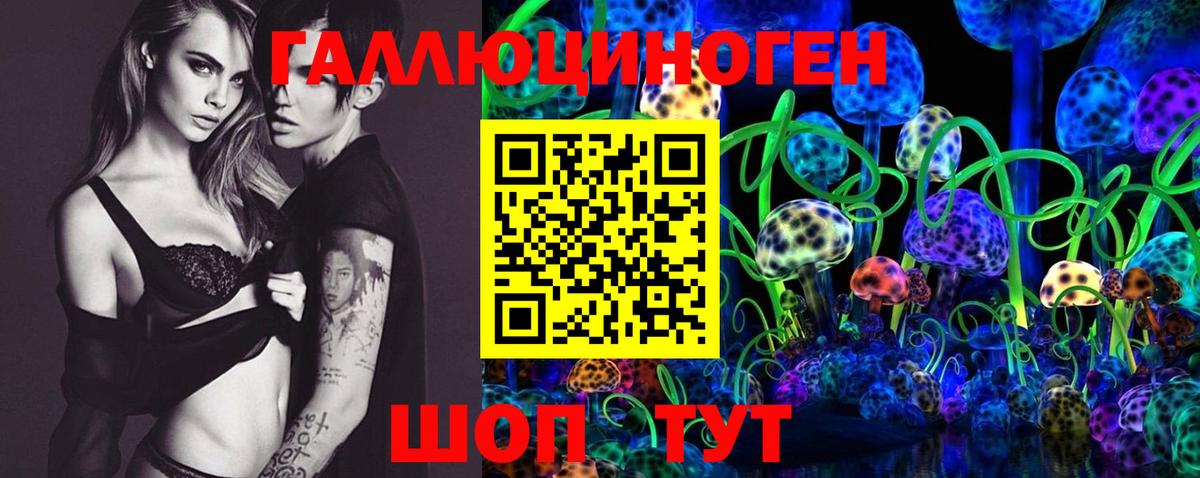 Псилоцибиновые грибы GOLDEN TEACHER  Вход с VPN  Рославль 